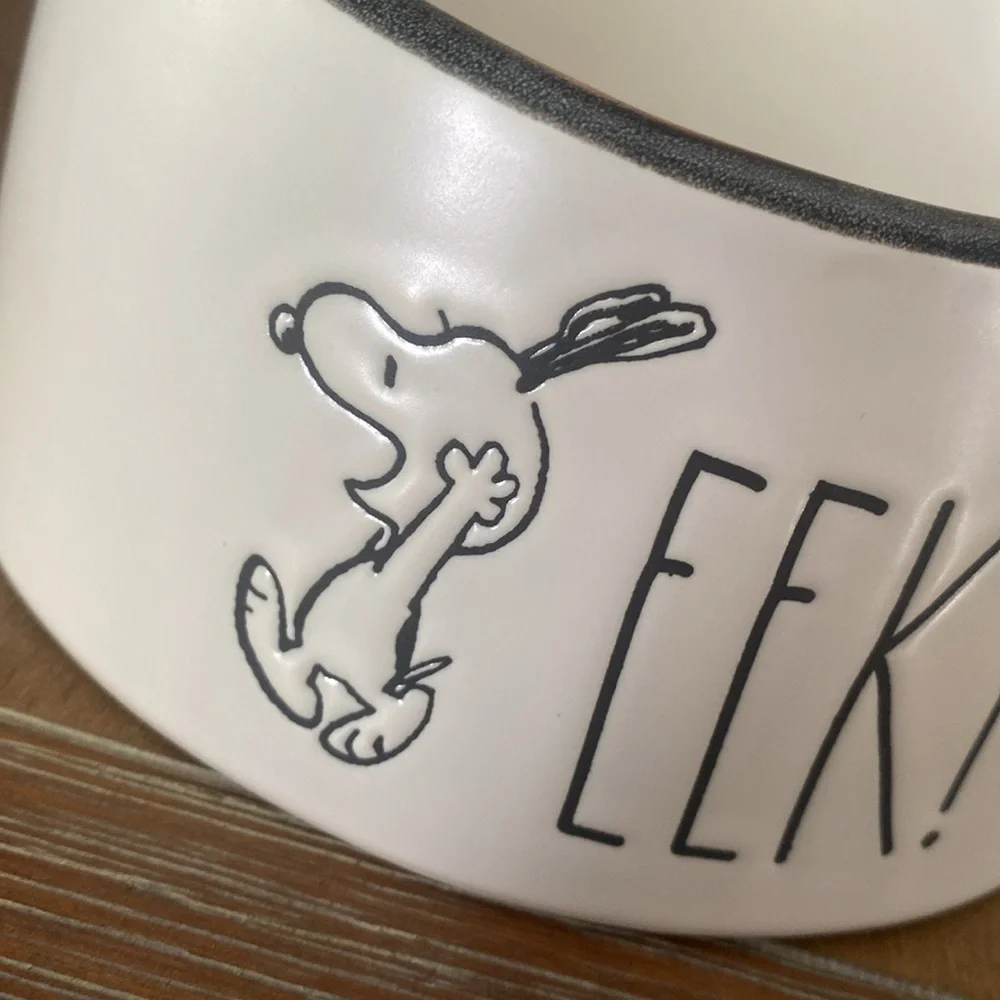 Rae Dunn Peanuts Pet Bowl